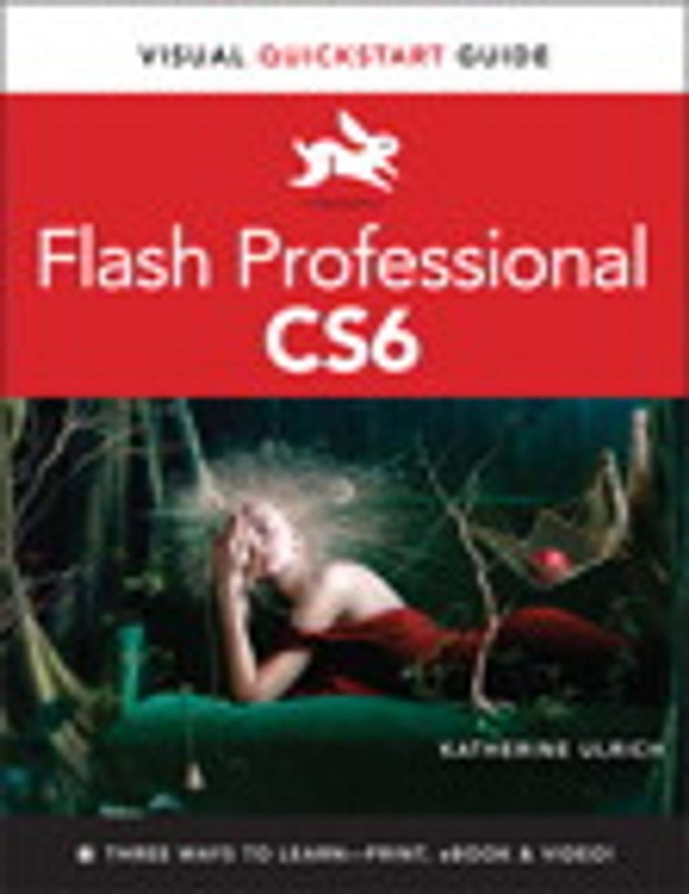 Big bigCover of Flash Professional CS6