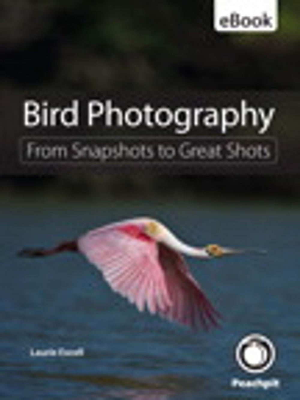 Big bigCover of Bird Photography: From Snapshots to Great Shots