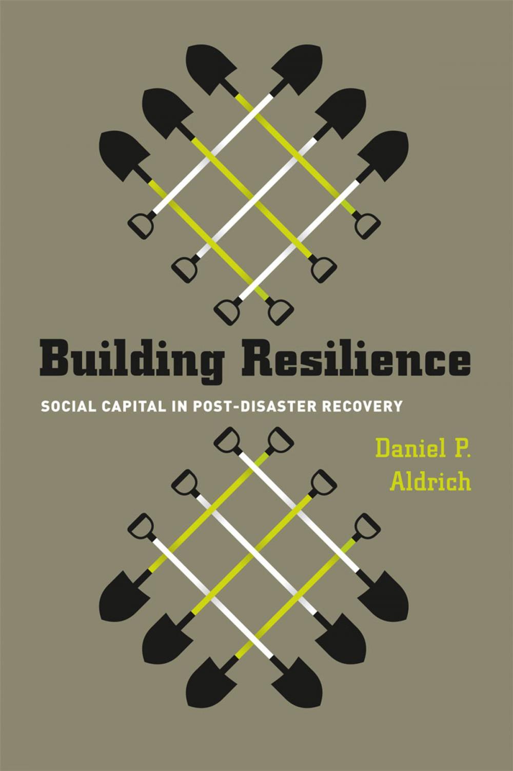 Big bigCover of Building Resilience