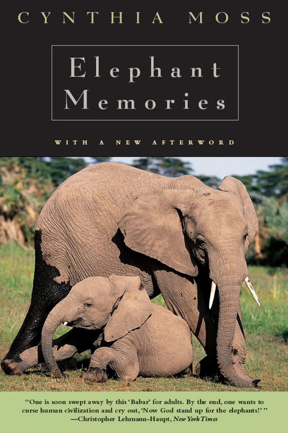 Big bigCover of Elephant Memories