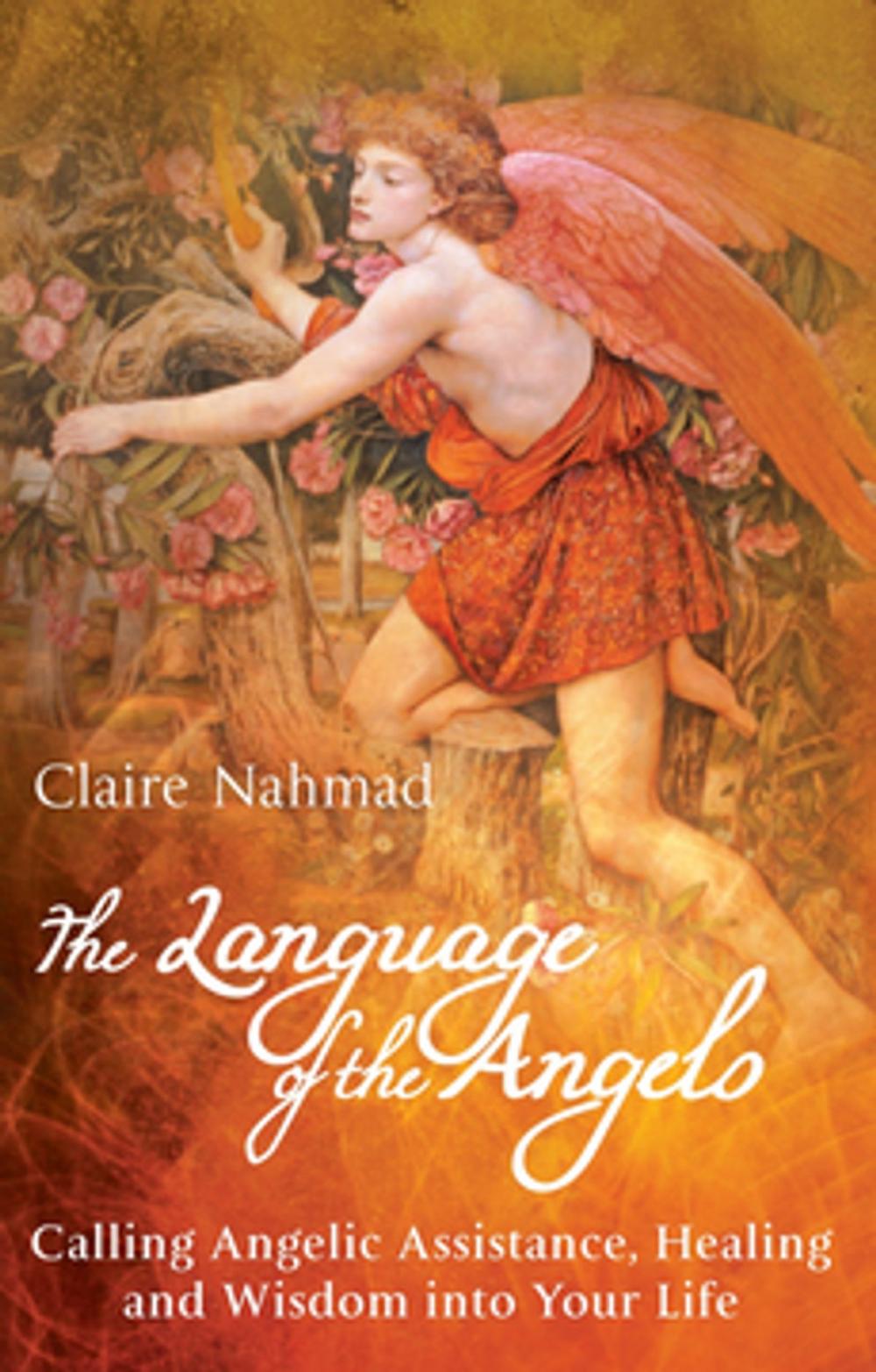 Big bigCover of The Language of the Angels