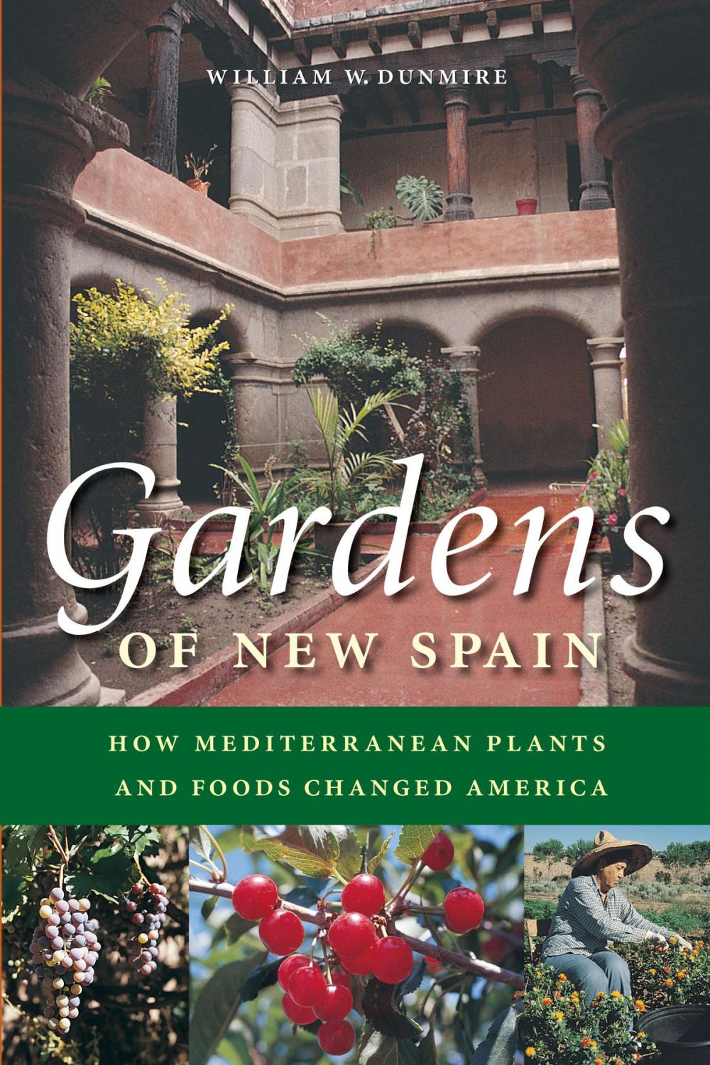 Big bigCover of Gardens of New Spain