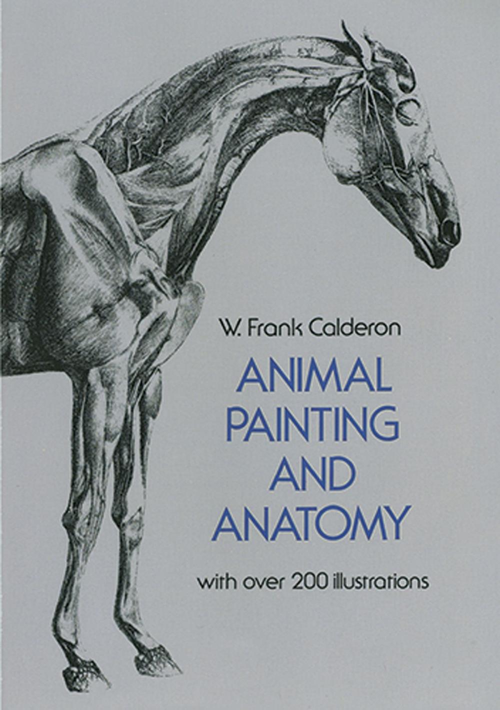 Big bigCover of Animal Painting and Anatomy
