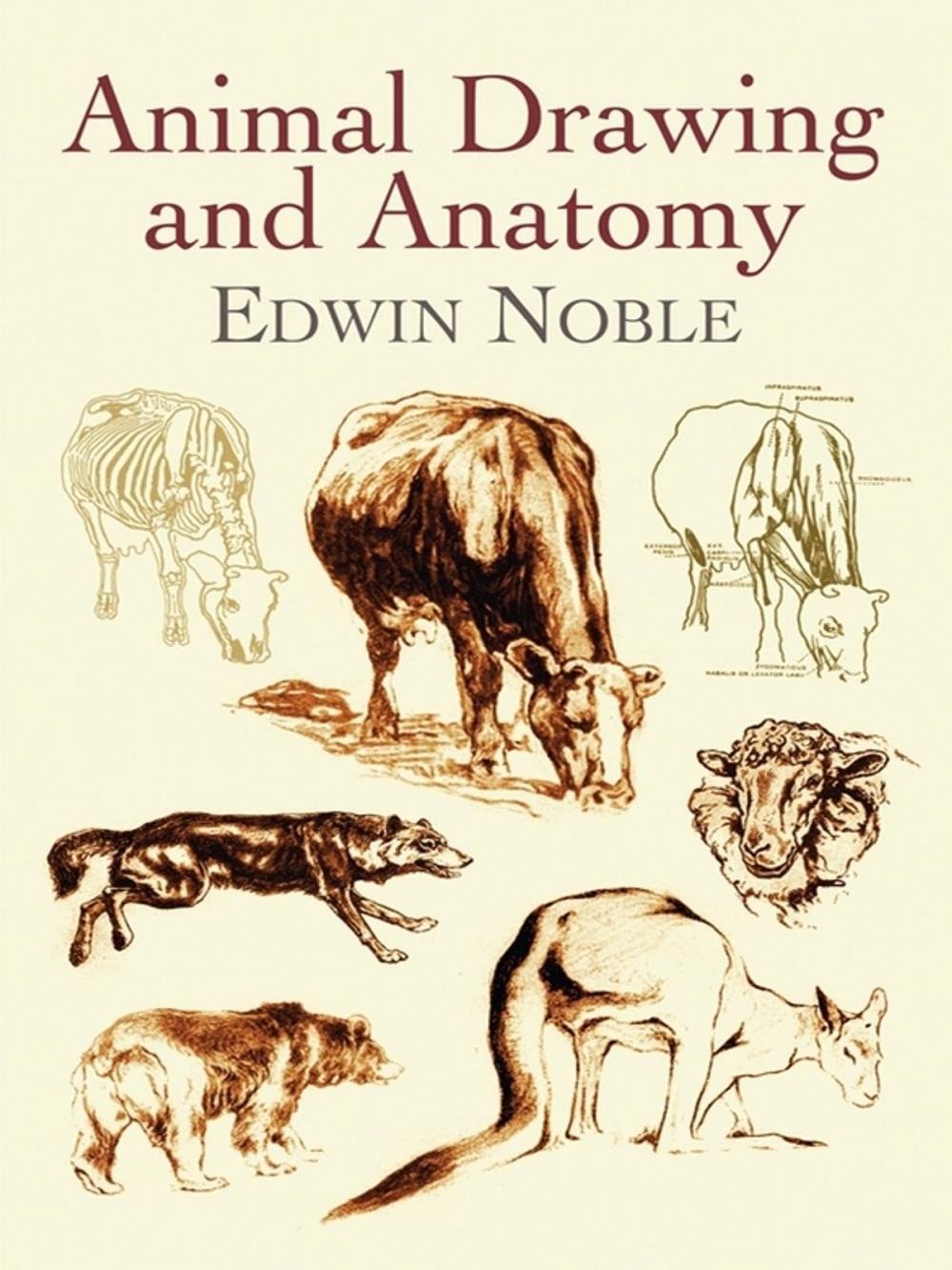 Big bigCover of Animal Drawing and Anatomy