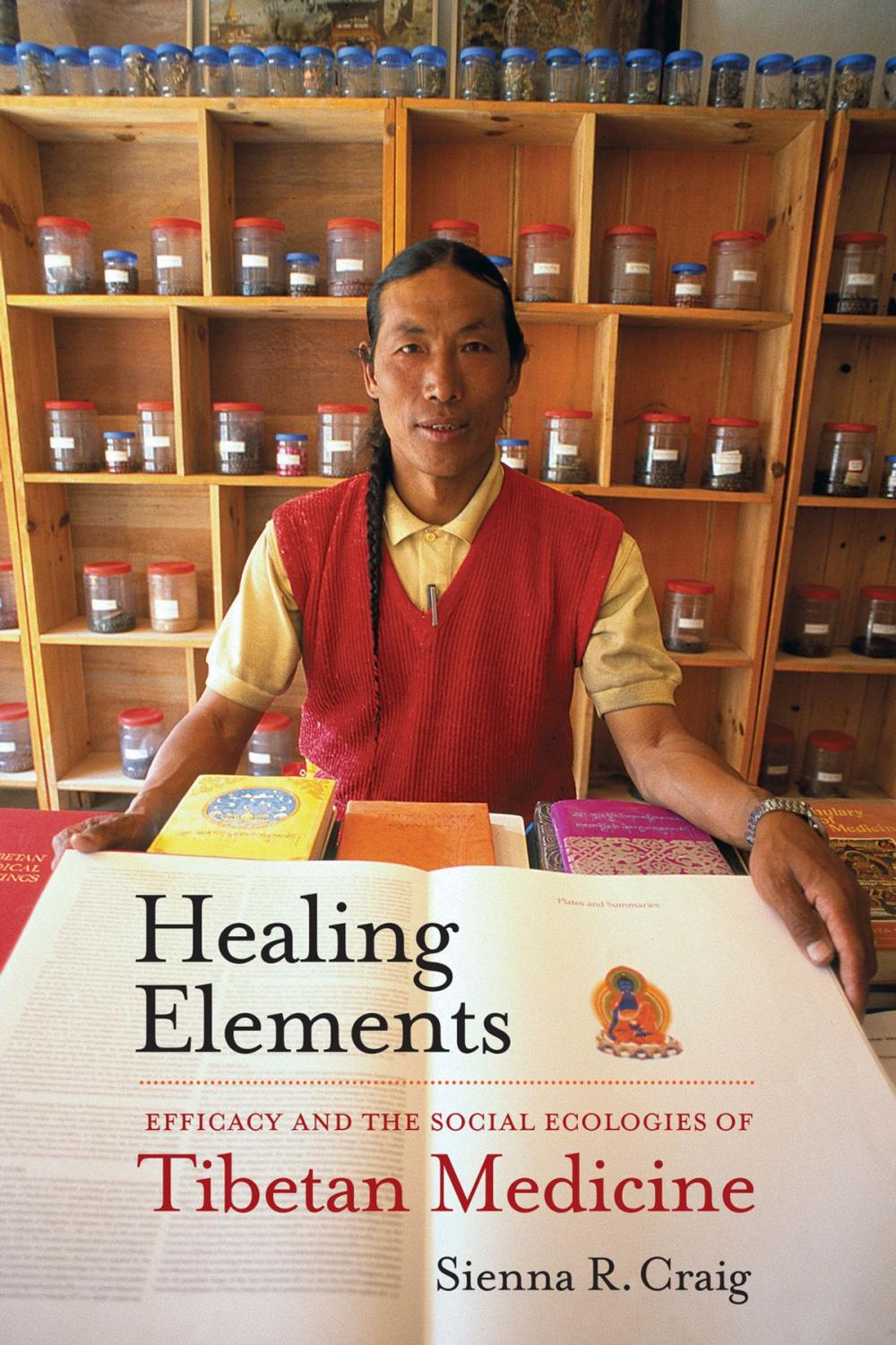 Big bigCover of Healing Elements