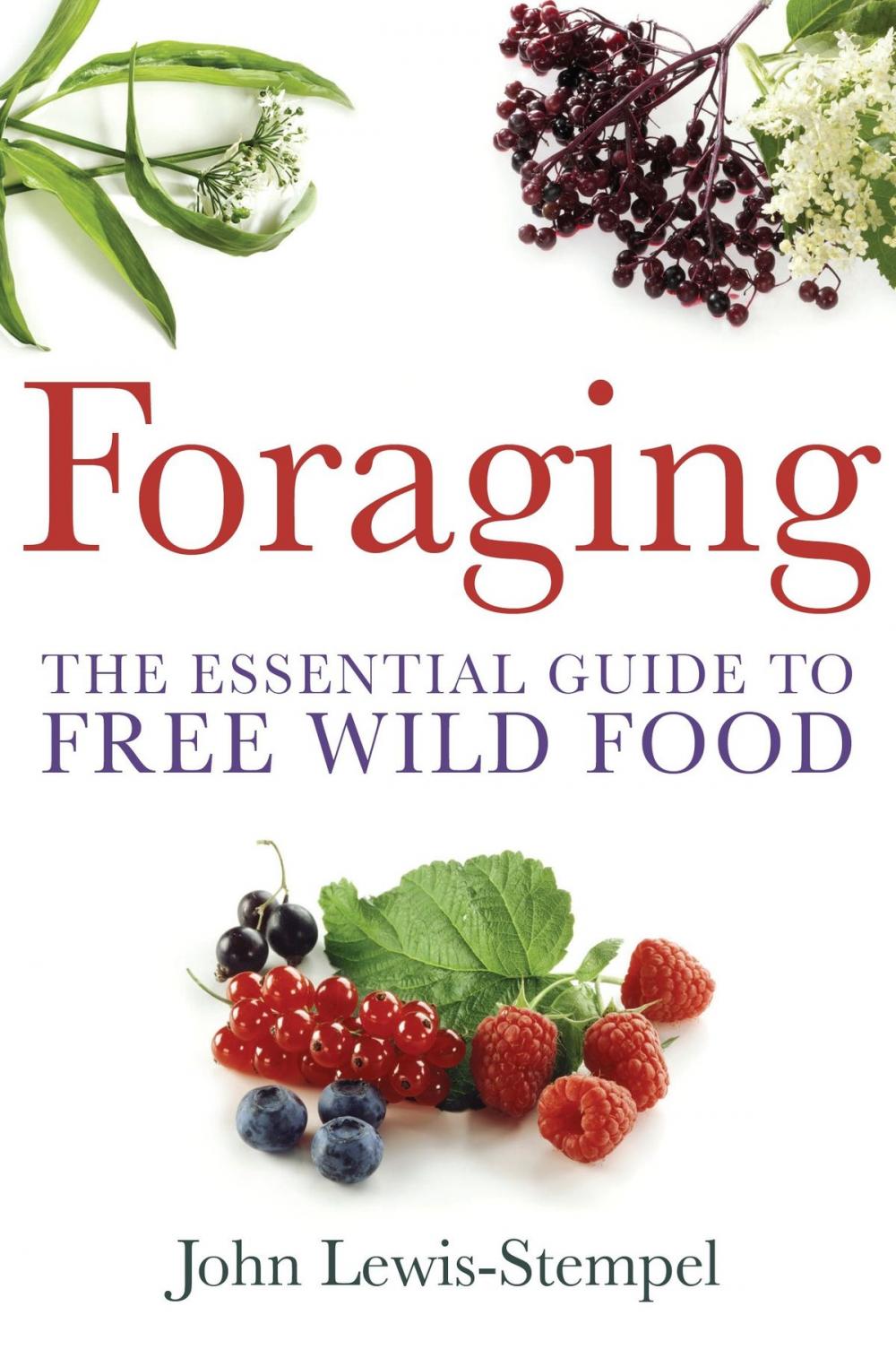 Big bigCover of Foraging