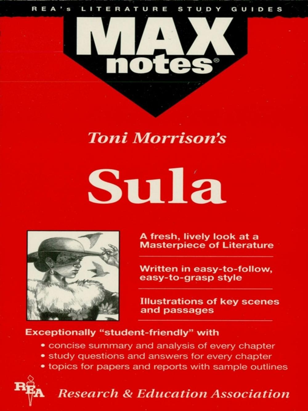 Big bigCover of Sula (MAXNotes Literature Guides)