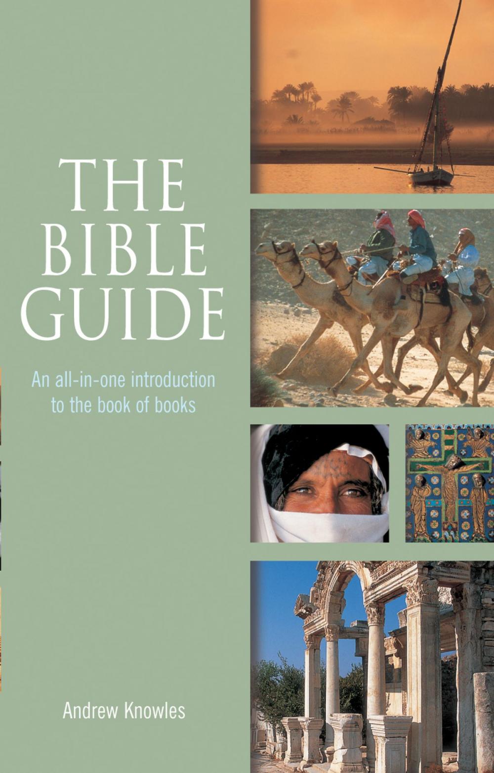 Big bigCover of The Bible Guide