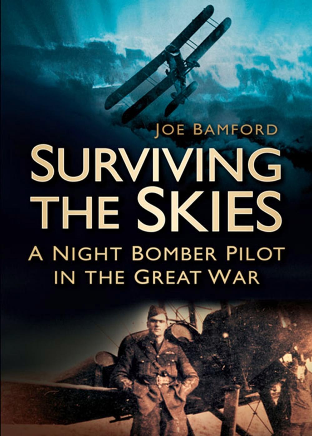 Big bigCover of Surviving the Skies