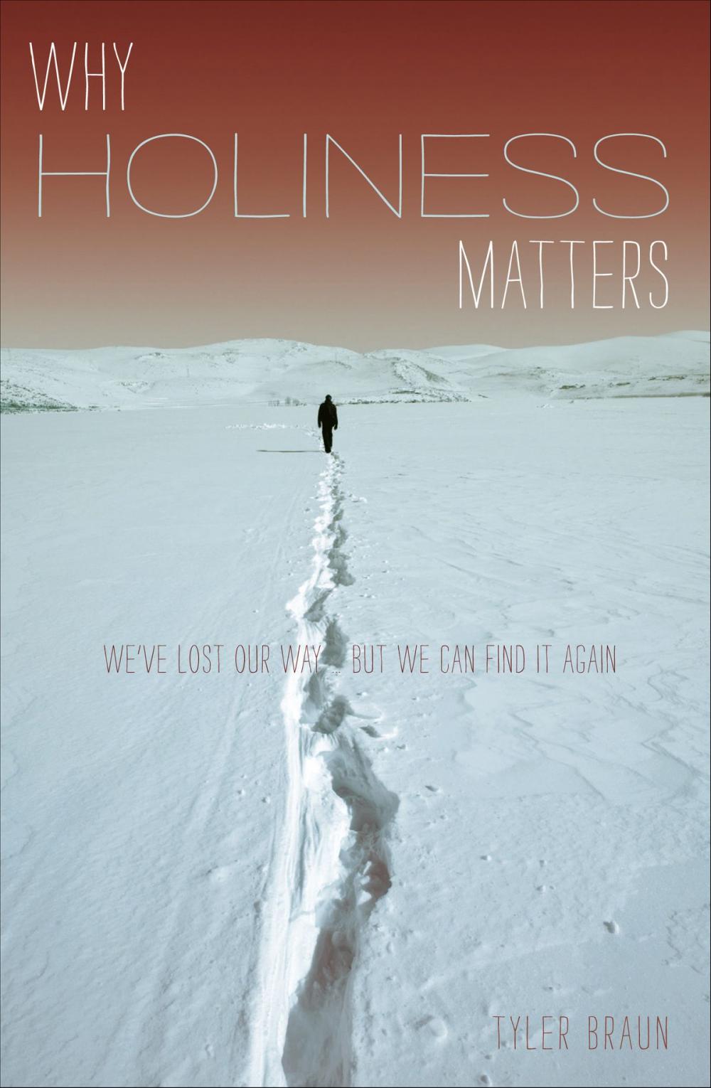 Big bigCover of Why Holiness Matters