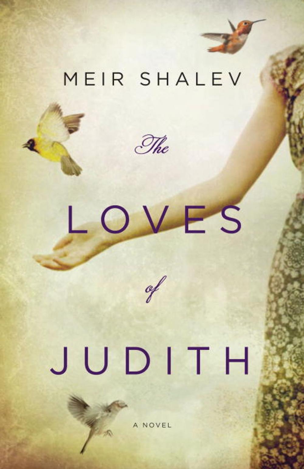 Big bigCover of The Loves of Judith