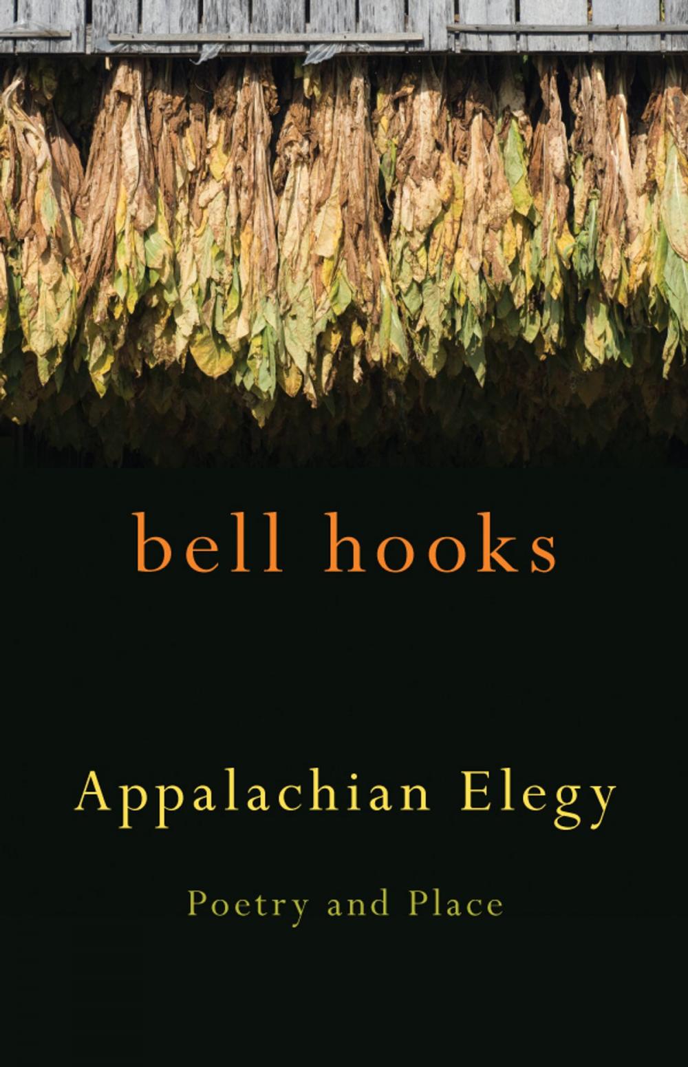 Big bigCover of Appalachian Elegy