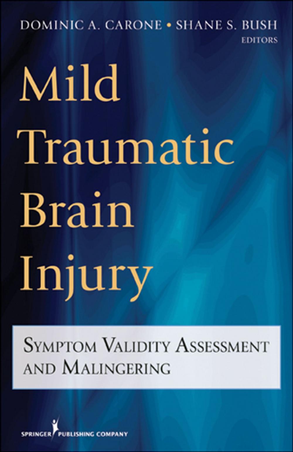 Big bigCover of Mild Traumatic Brain Injury