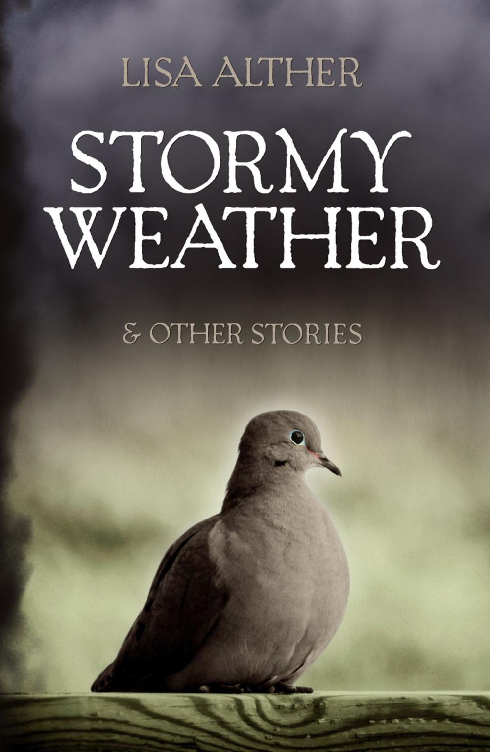 Big bigCover of Stormy Weather & Other Stories