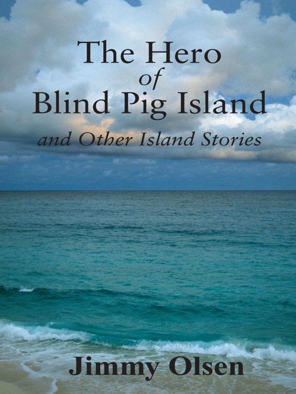 Big bigCover of The Hero of Blind Pig Island and Other Island Stories