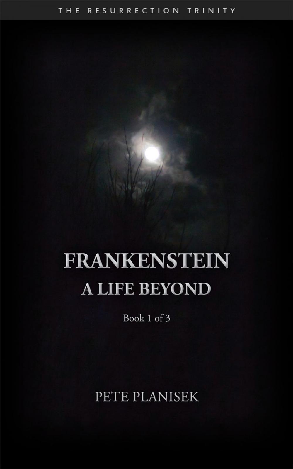 Big bigCover of Frankenstein A Life Beyond