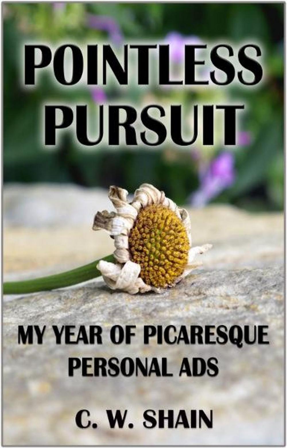 Big bigCover of Pointless Pursuit: My Year of Picaresque Personal Ads