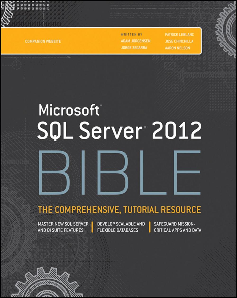 Big bigCover of Microsoft SQL Server 2012 Bible