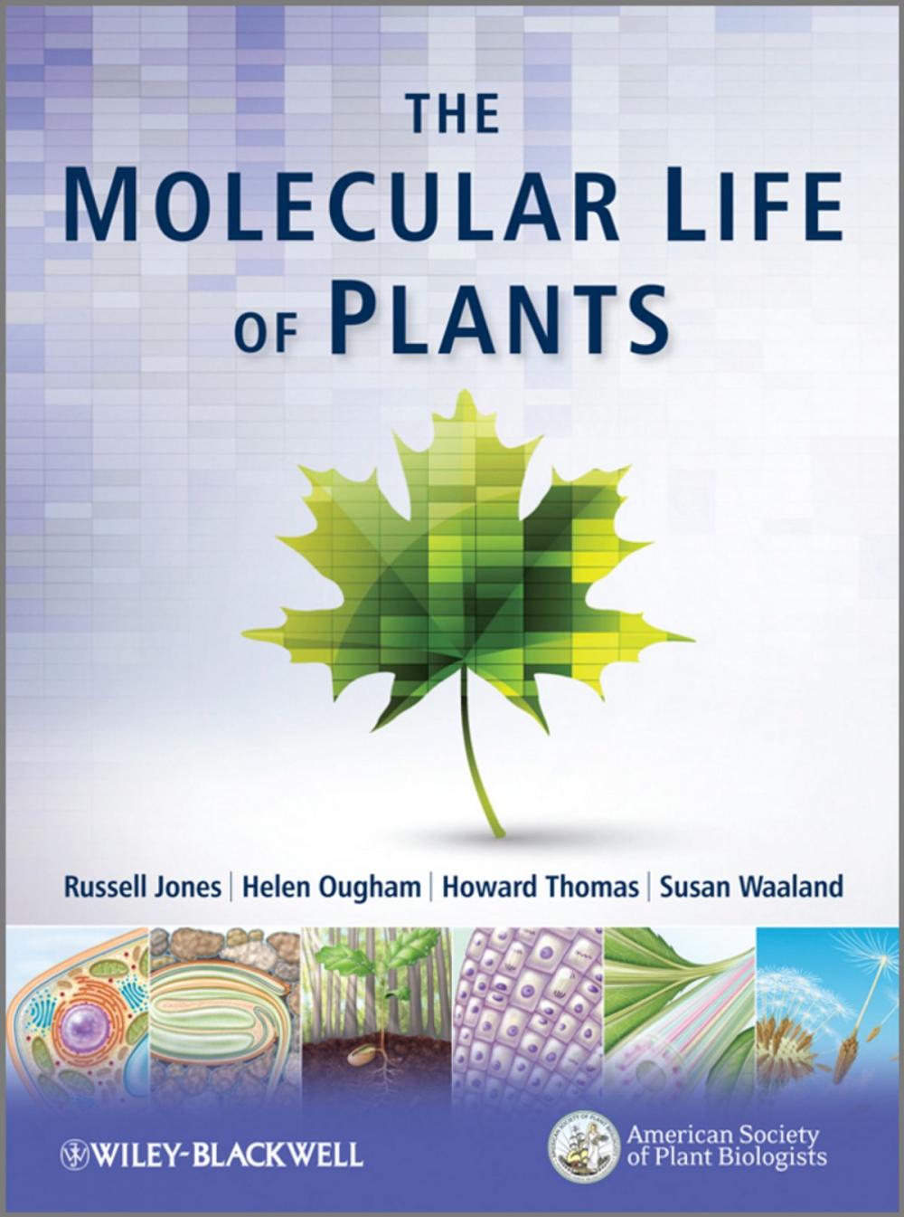 Big bigCover of The Molecular Life of Plants