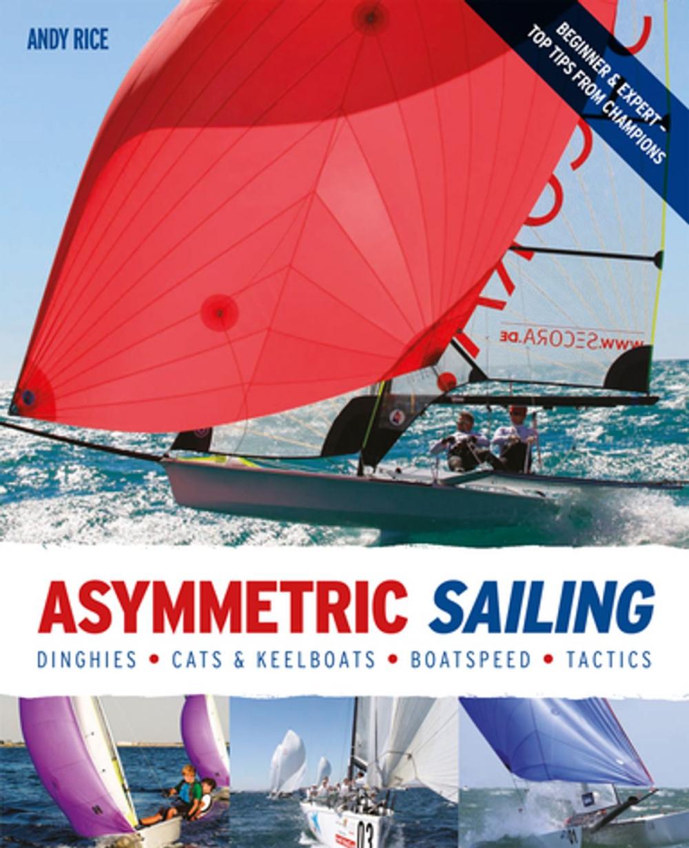 Big bigCover of Asymmetric Sailing