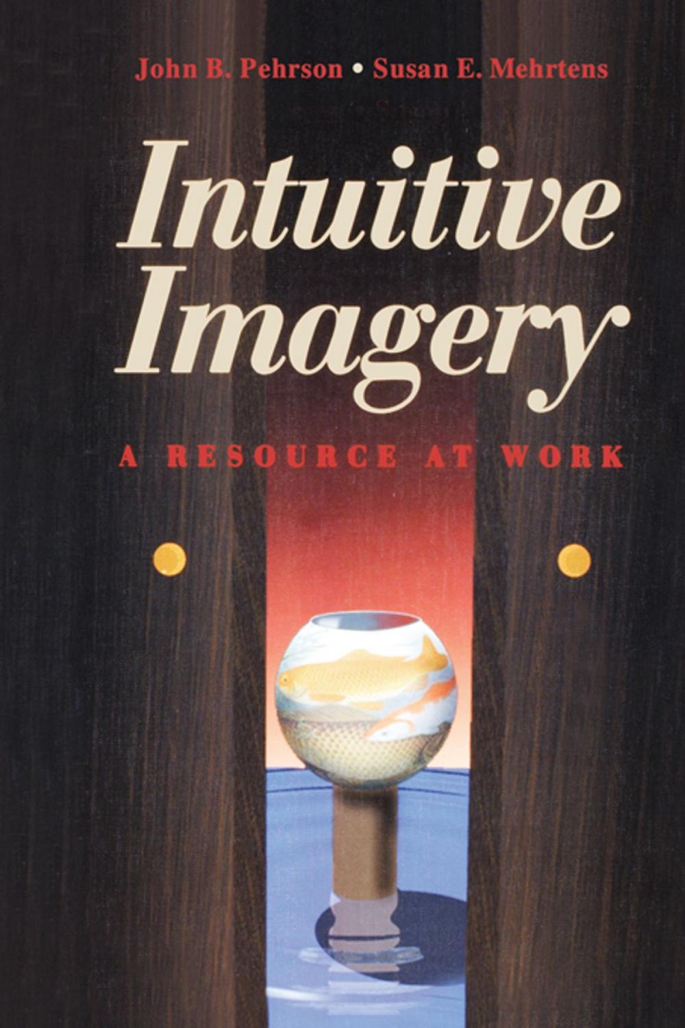 Big bigCover of Intuitive Imagery