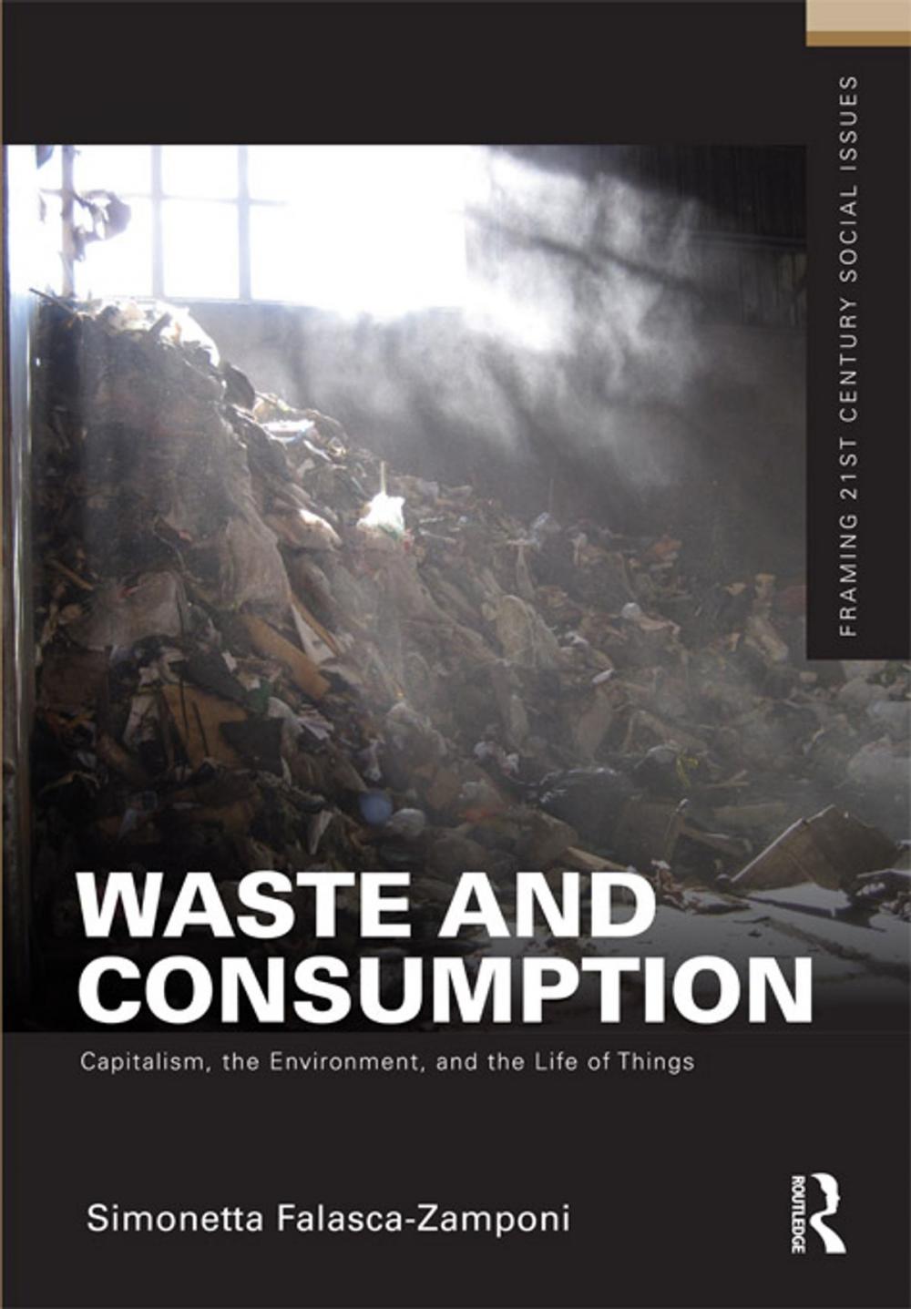 Big bigCover of Waste and Consumption