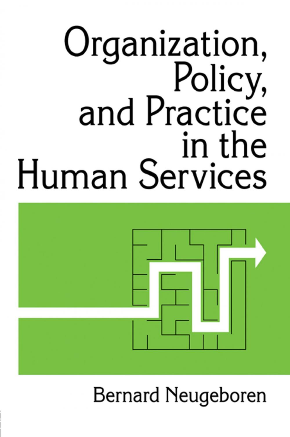 Big bigCover of Organization, Policy, and Practice in the Human Services