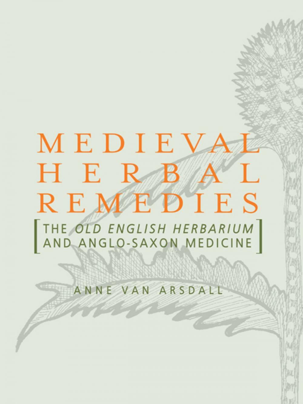 Big bigCover of Medieval Herbal Remedies