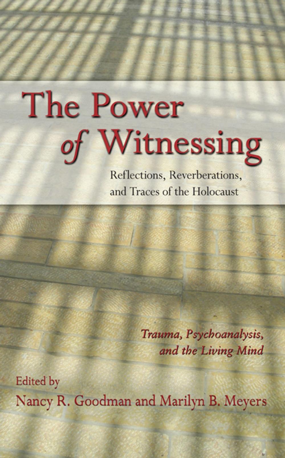 Big bigCover of The Power of Witnessing