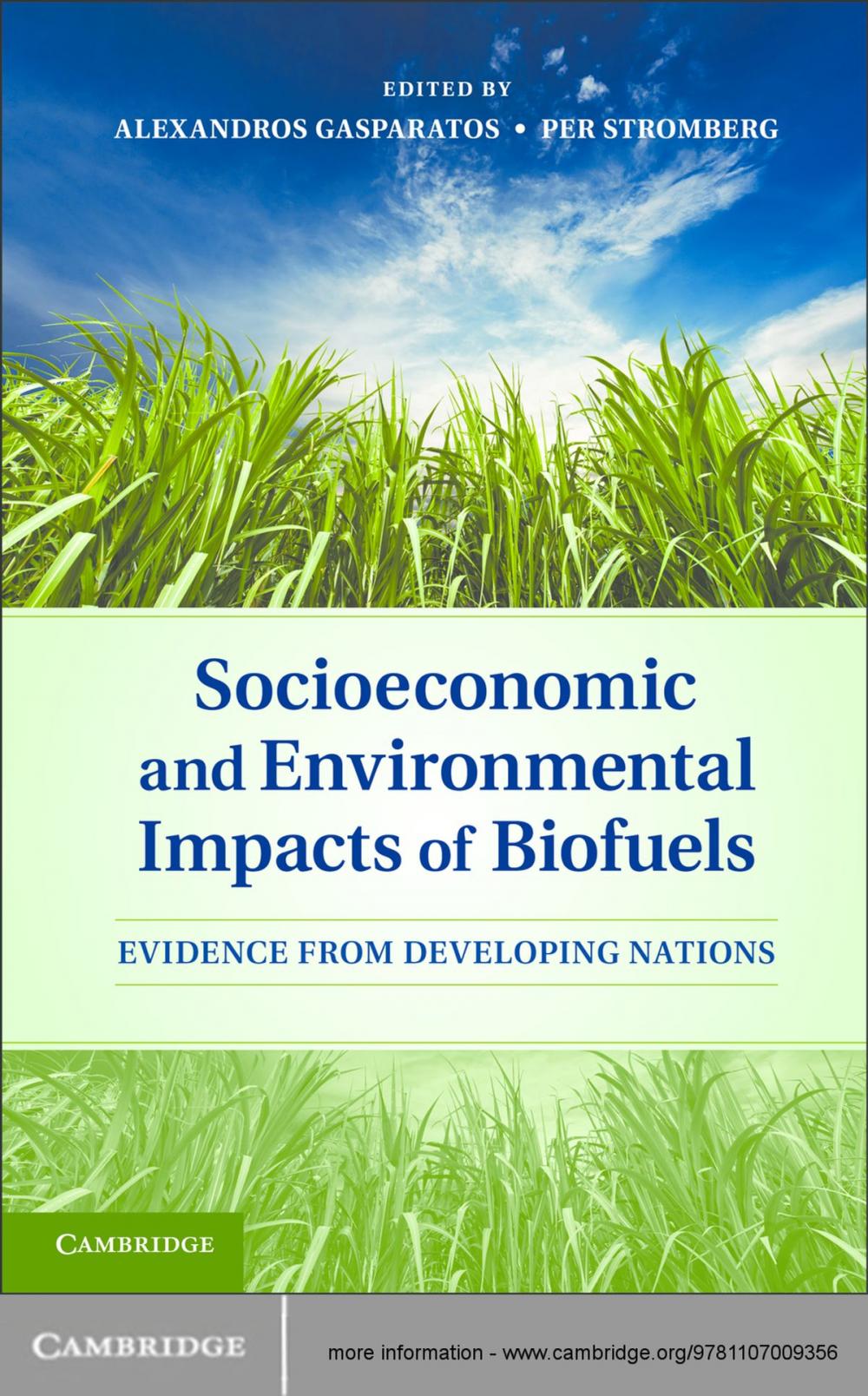 Big bigCover of Socioeconomic and Environmental Impacts of Biofuels