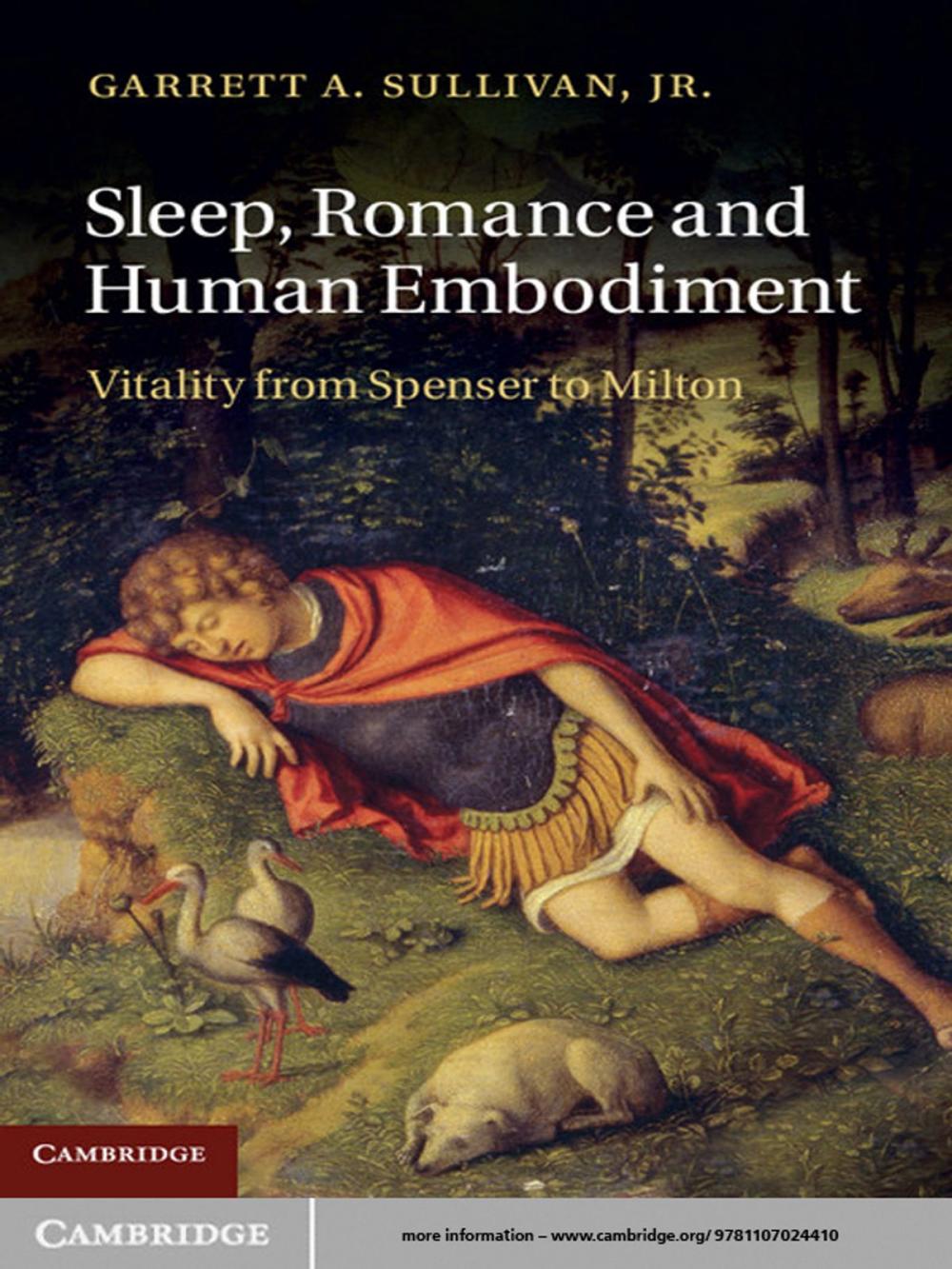 Big bigCover of Sleep, Romance and Human Embodiment