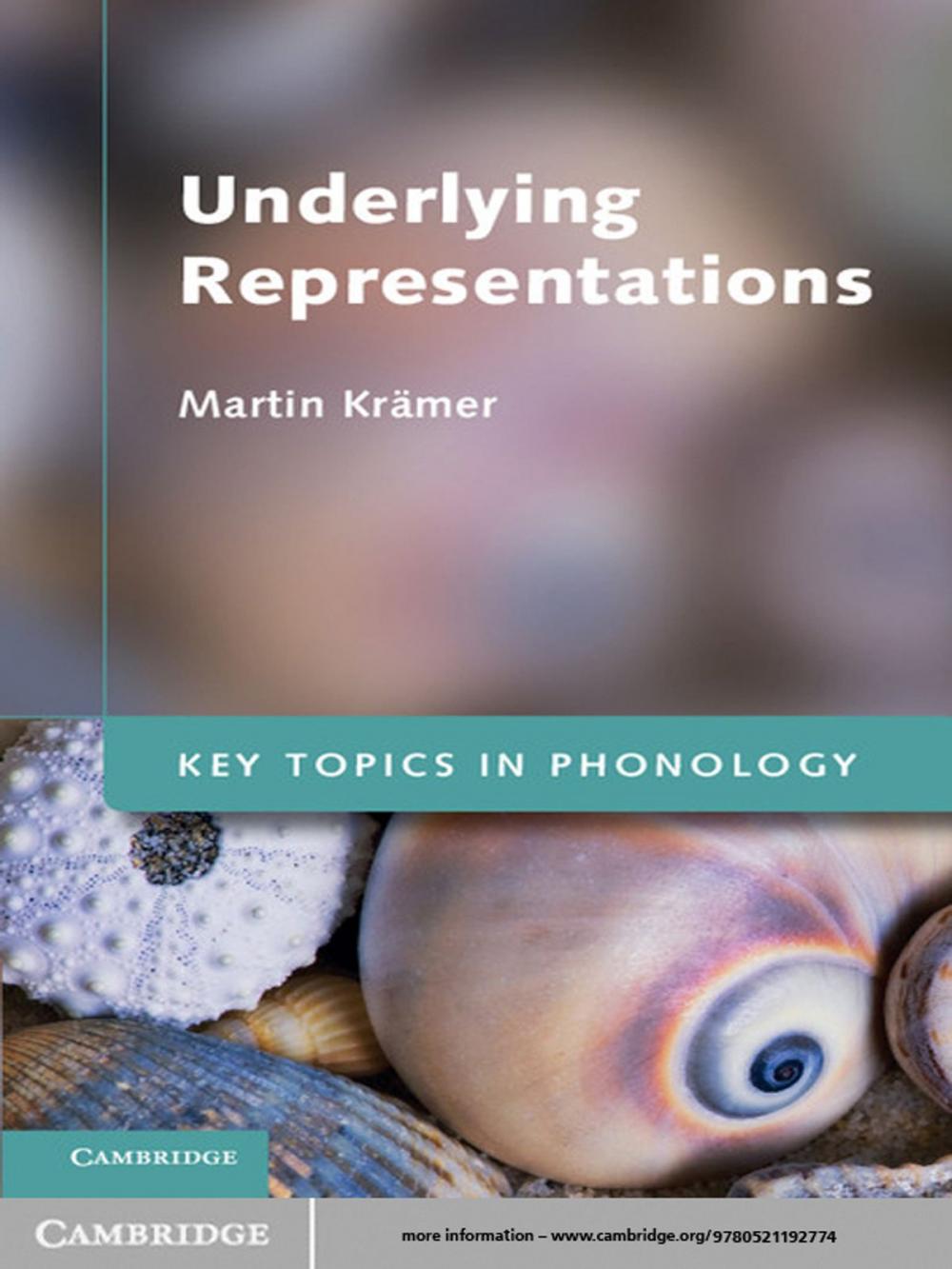 Big bigCover of Underlying Representations