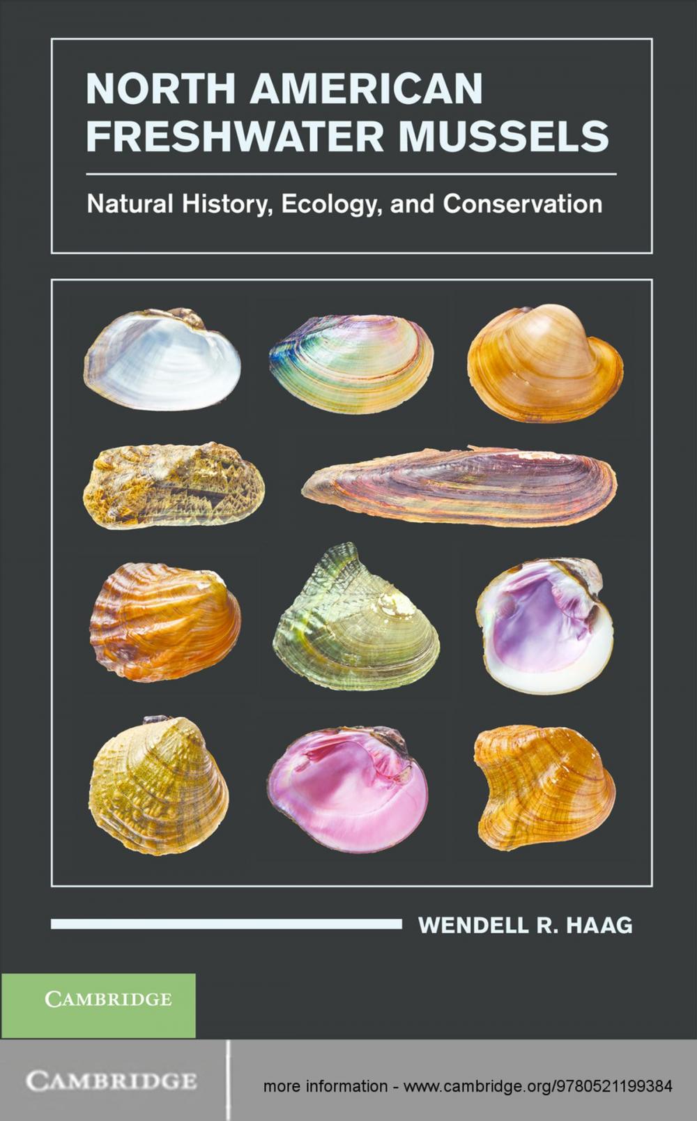 Big bigCover of North American Freshwater Mussels