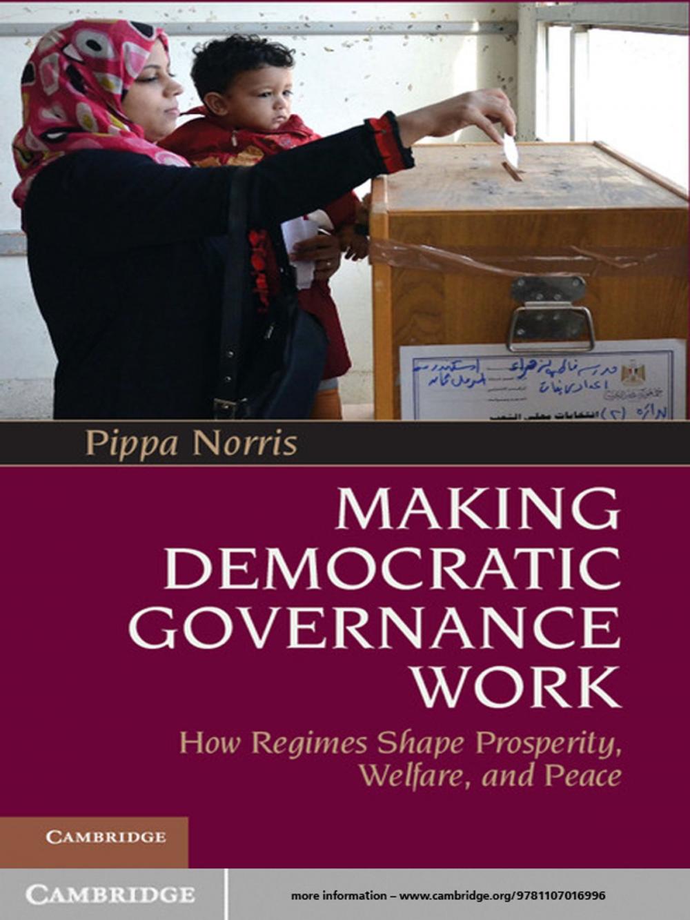 Big bigCover of Making Democratic Governance Work