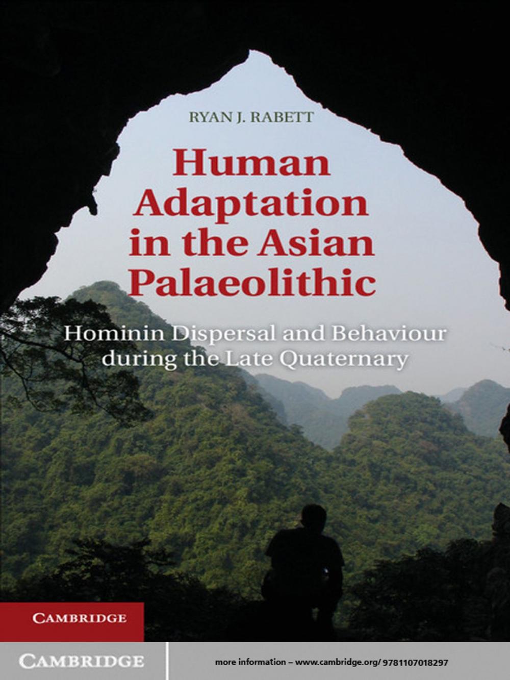 Big bigCover of Human Adaptation in the Asian Palaeolithic