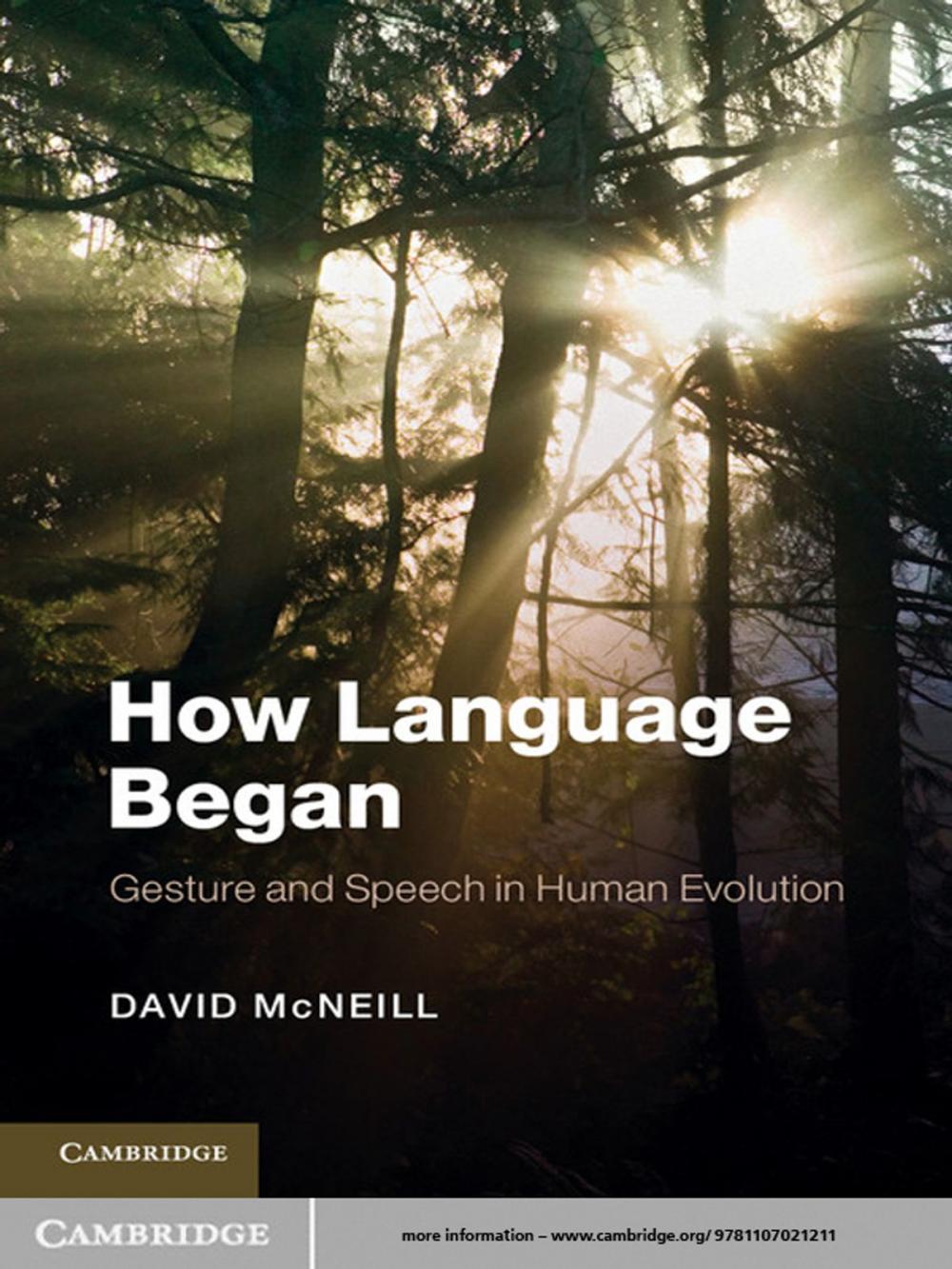 Big bigCover of How Language Began