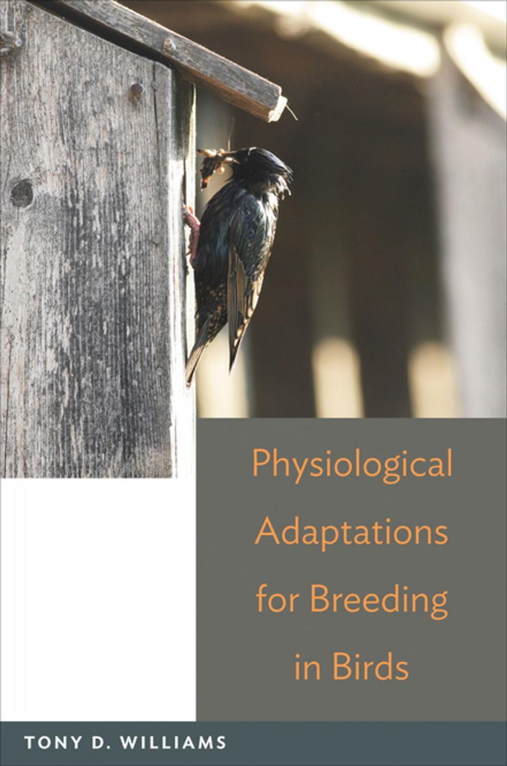 Big bigCover of Physiological Adaptations for Breeding in Birds