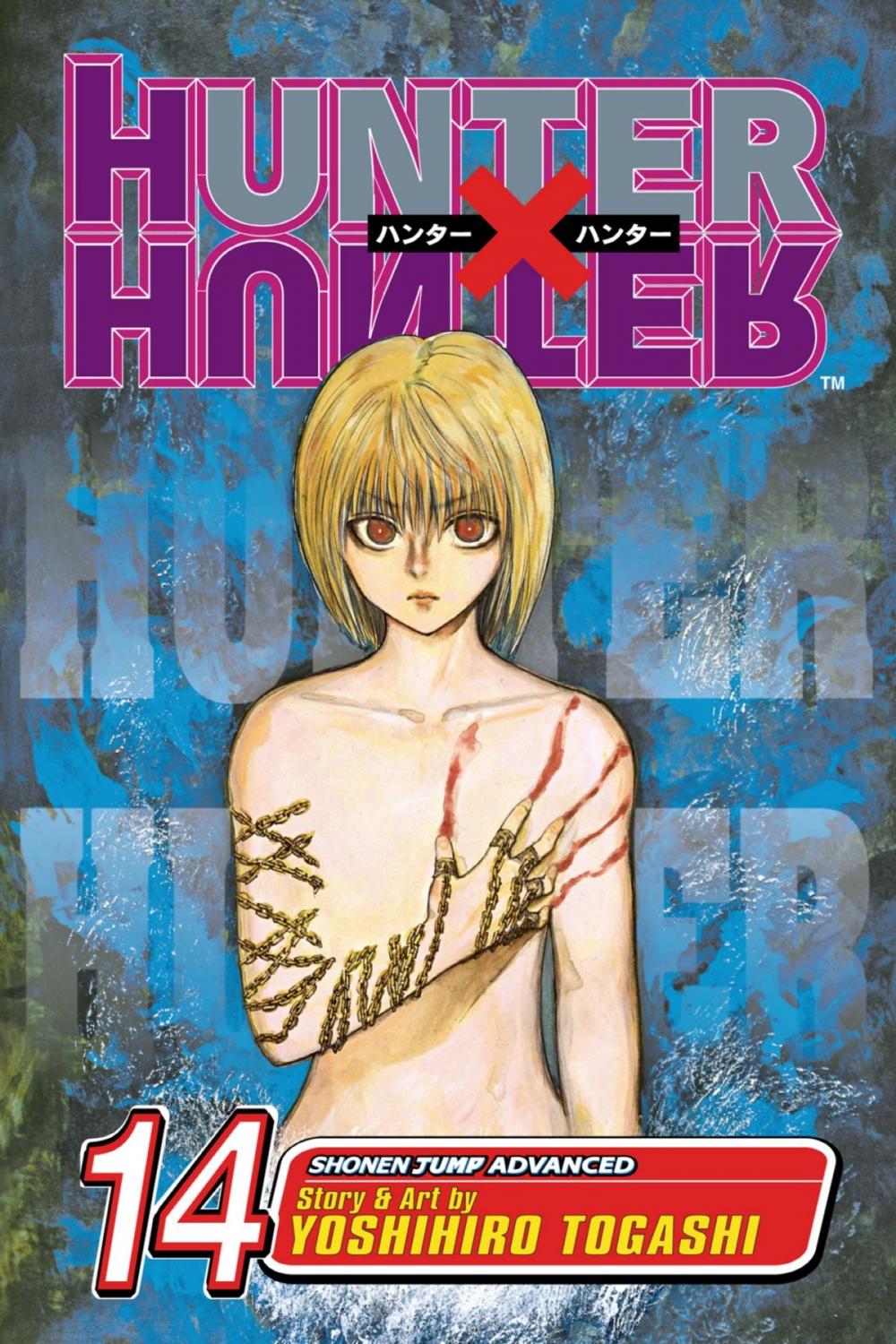 Big bigCover of Hunter x Hunter, Vol. 14