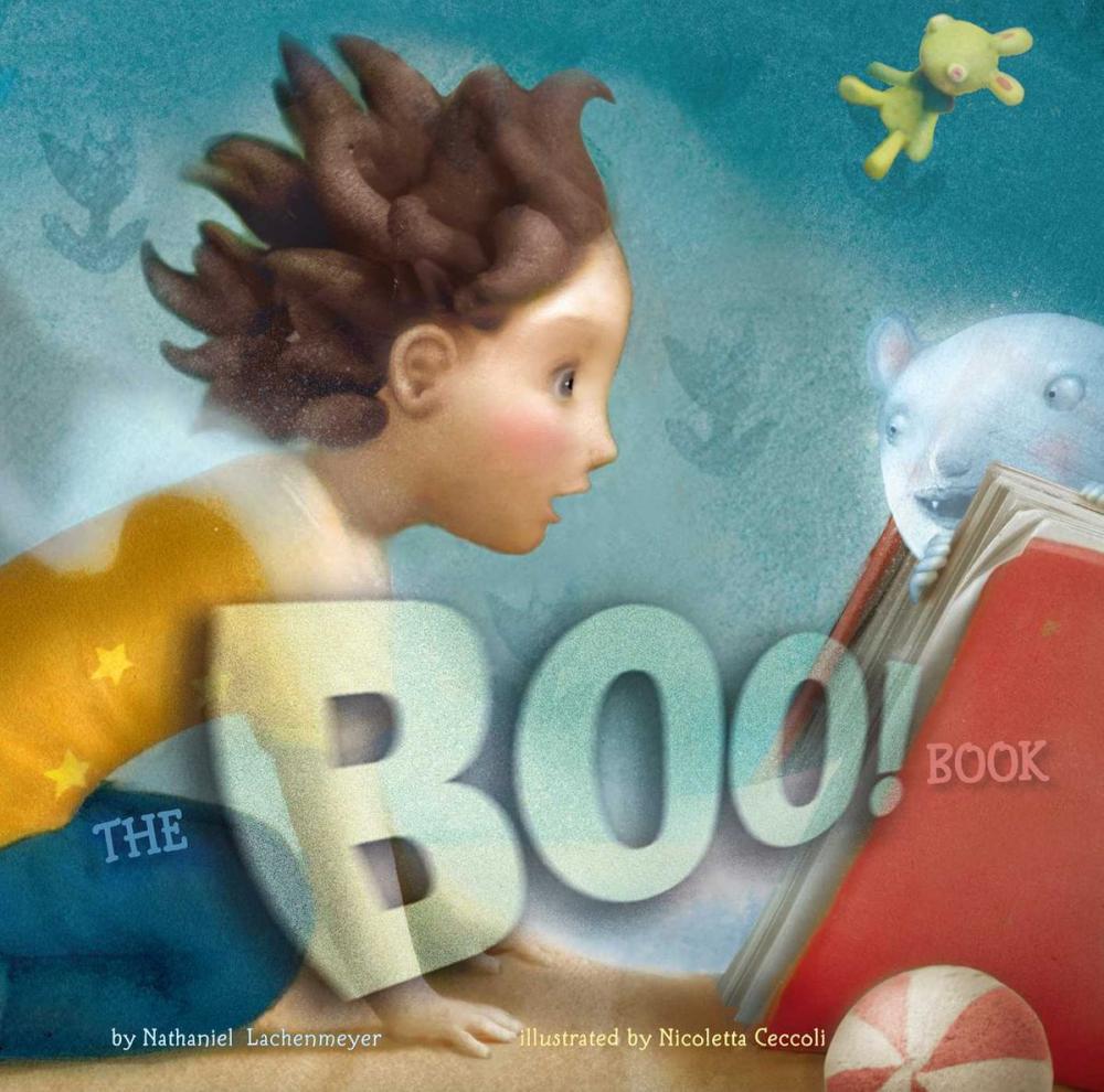 Big bigCover of The Boo! Book