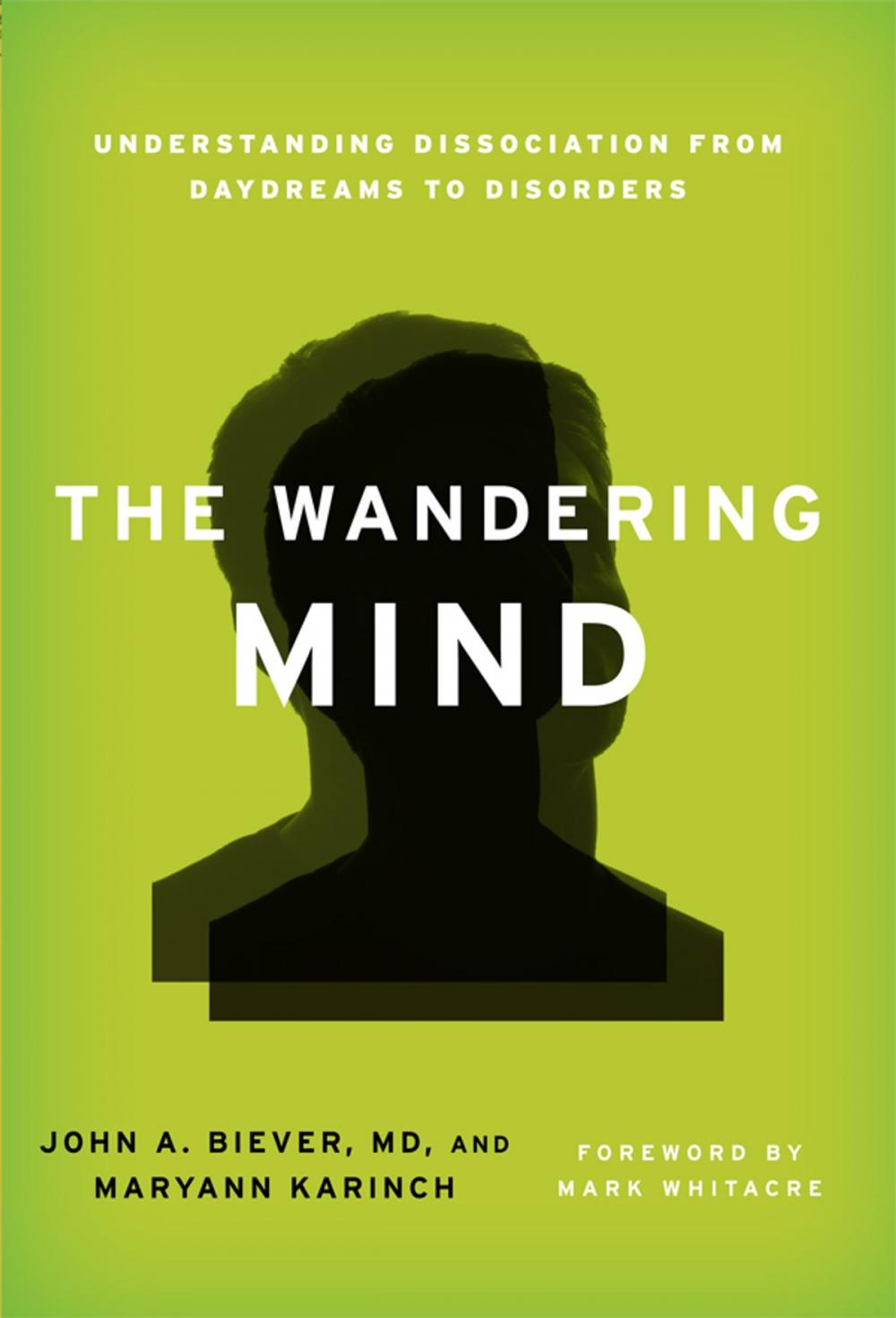 Big bigCover of The Wandering Mind