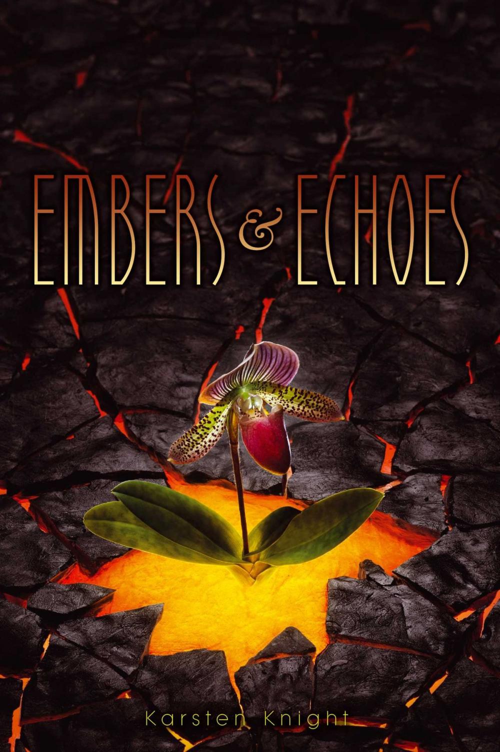 Big bigCover of Embers & Echoes