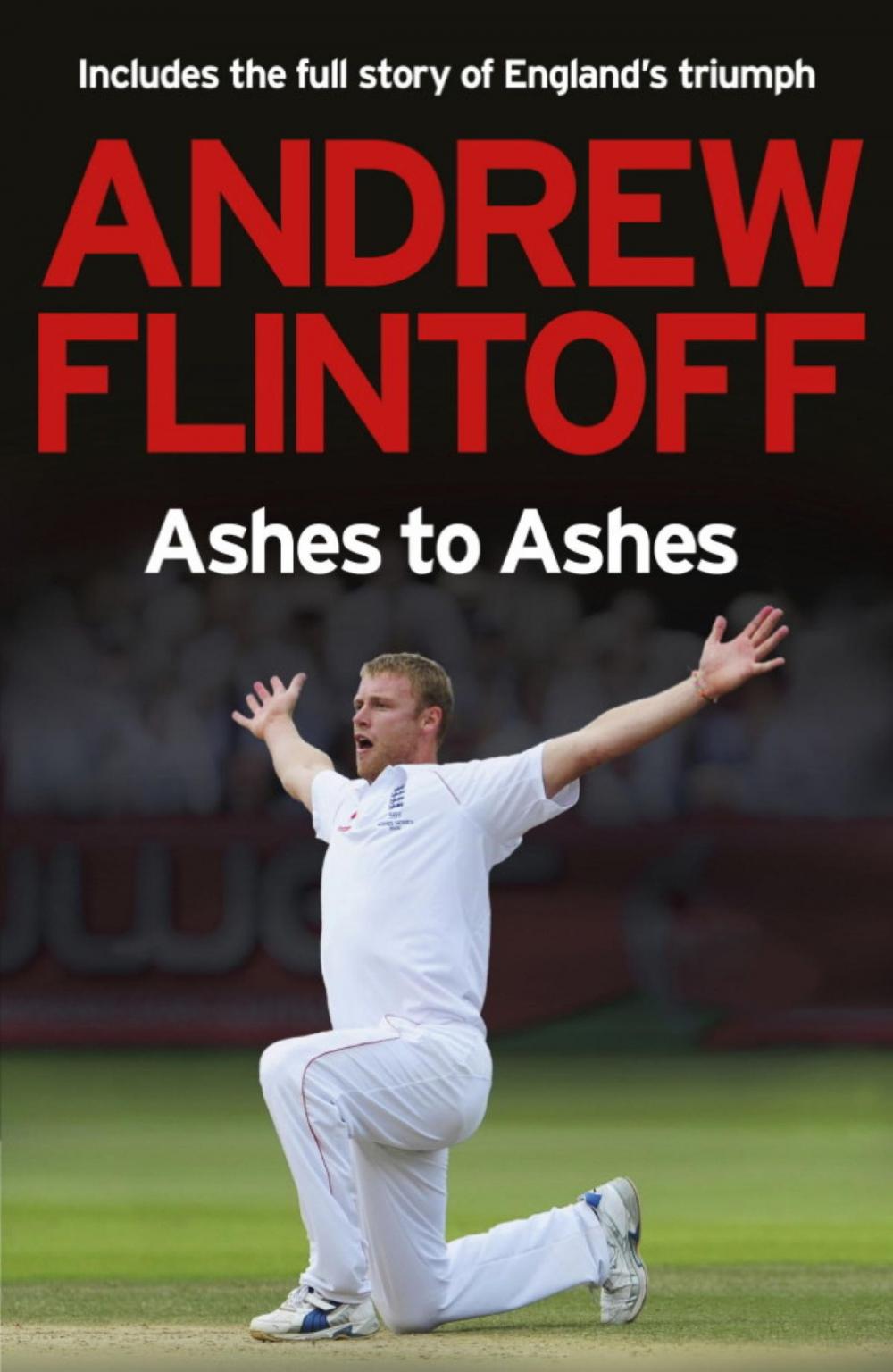 Big bigCover of Andrew Flintoff: Ashes to Ashes