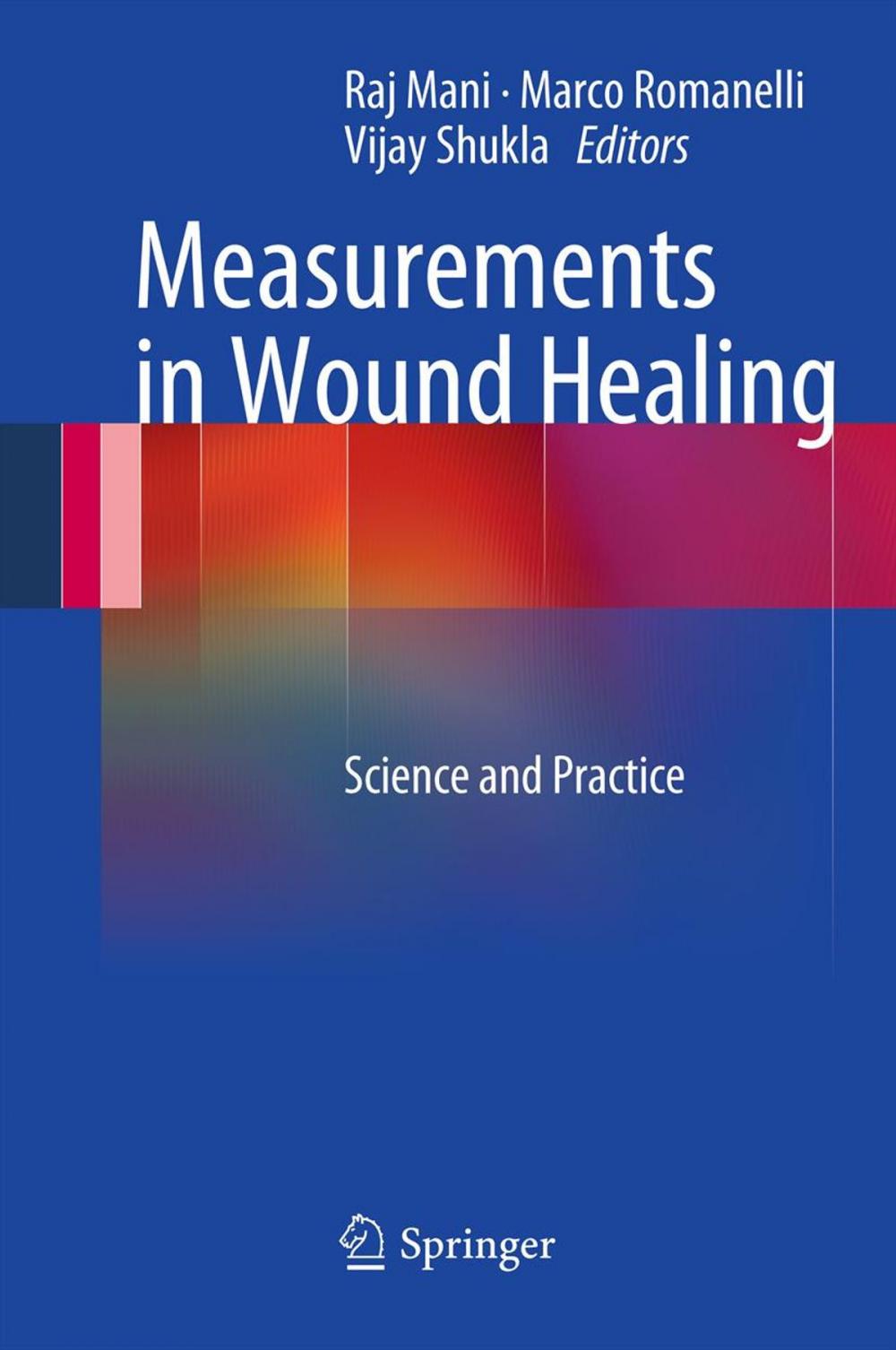 Big bigCover of Measurements in Wound Healing