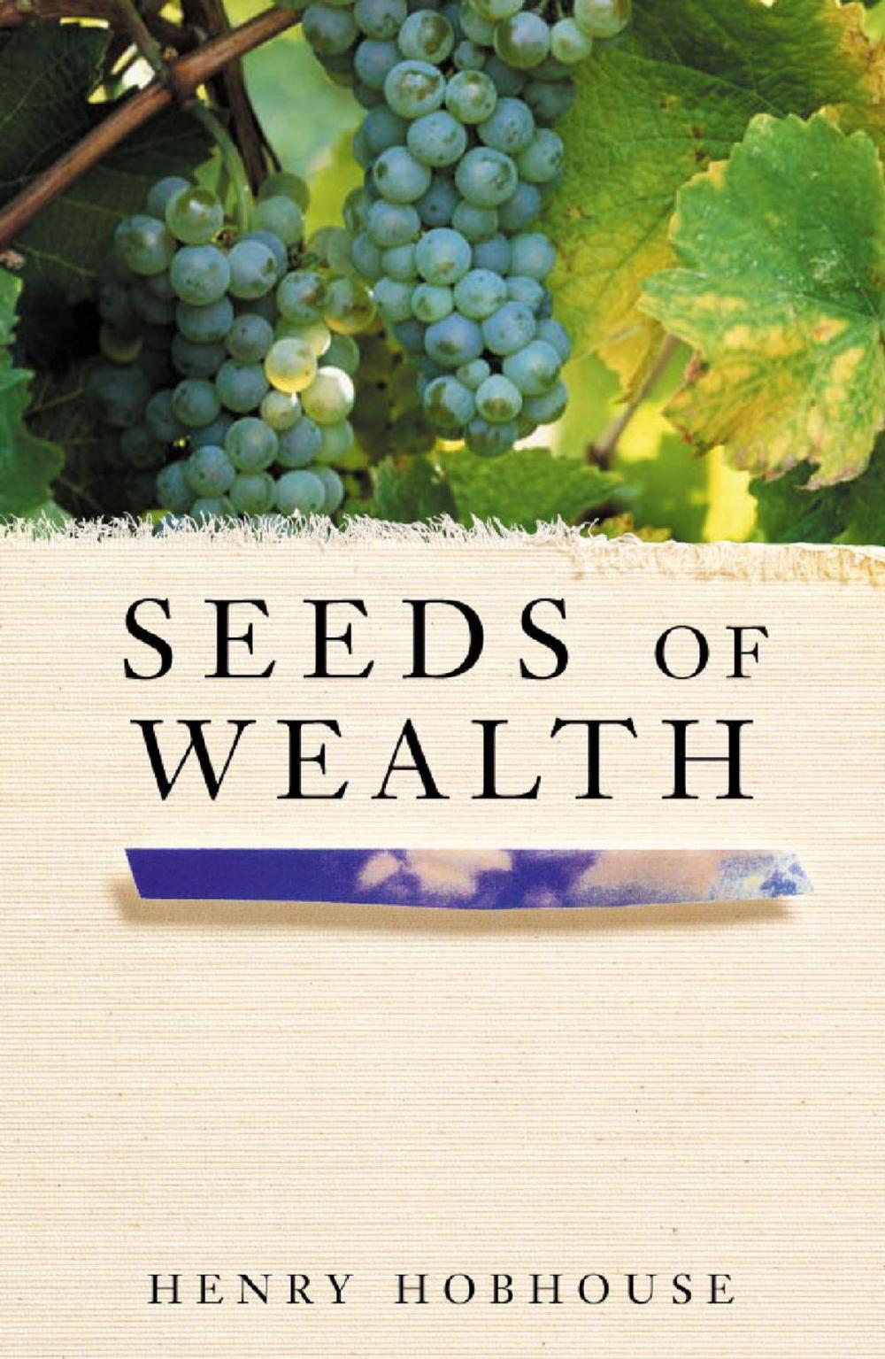 Big bigCover of Seeds of Wealth