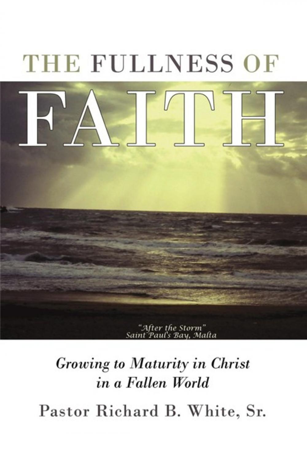 Big bigCover of The Fullness of Faith