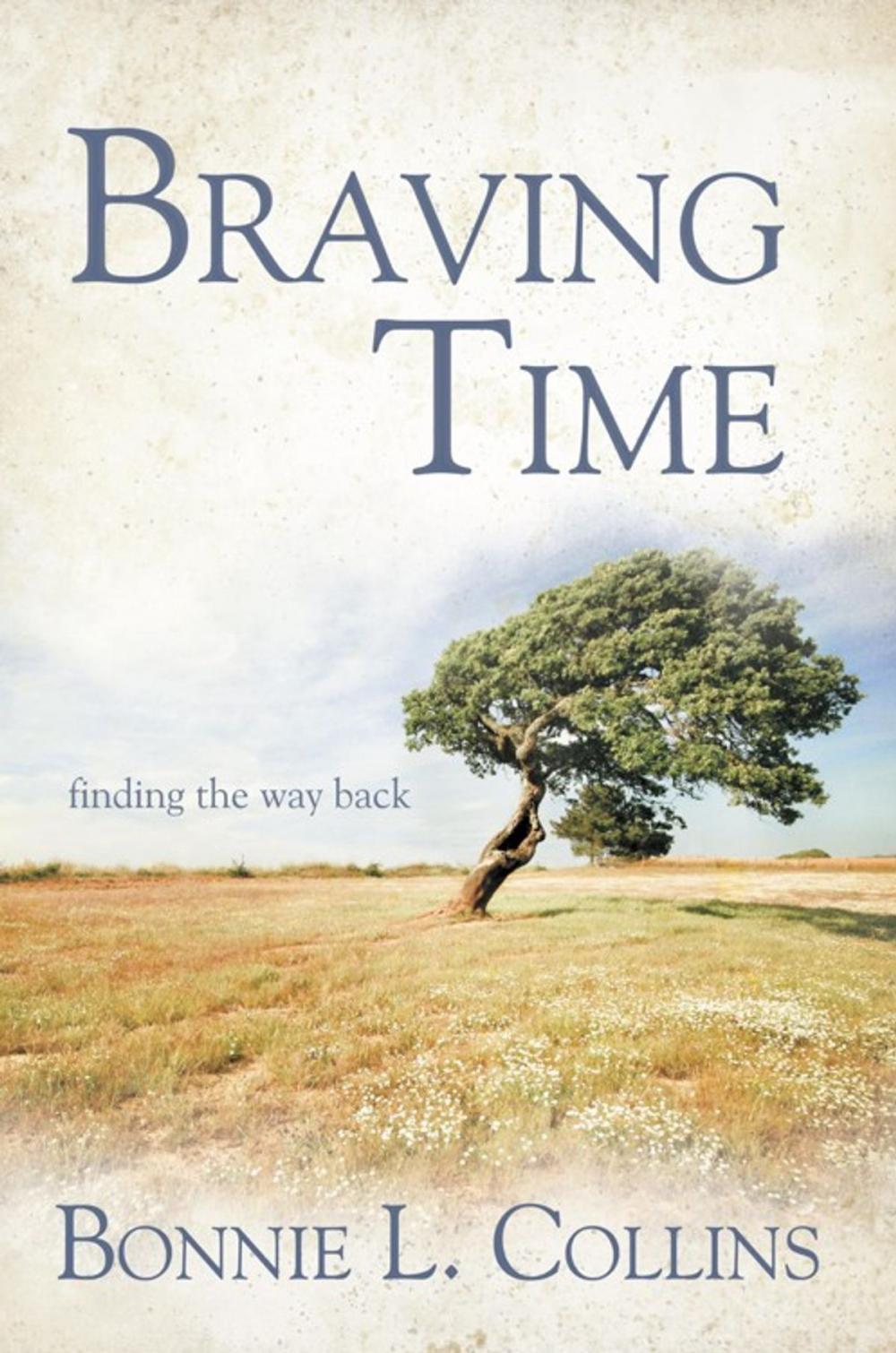 Big bigCover of Braving Time