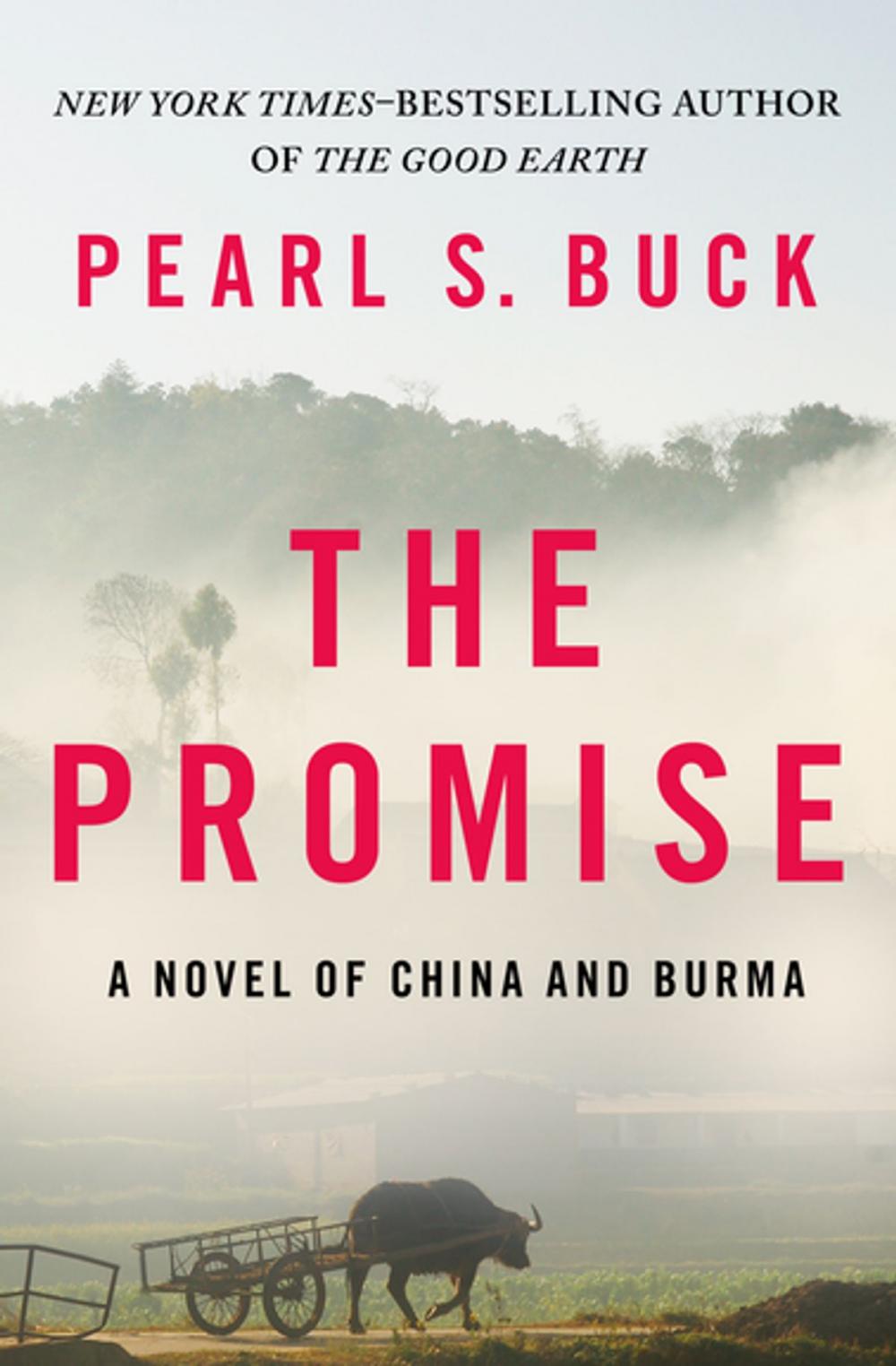 Big bigCover of The Promise: A Novel of China and Burma