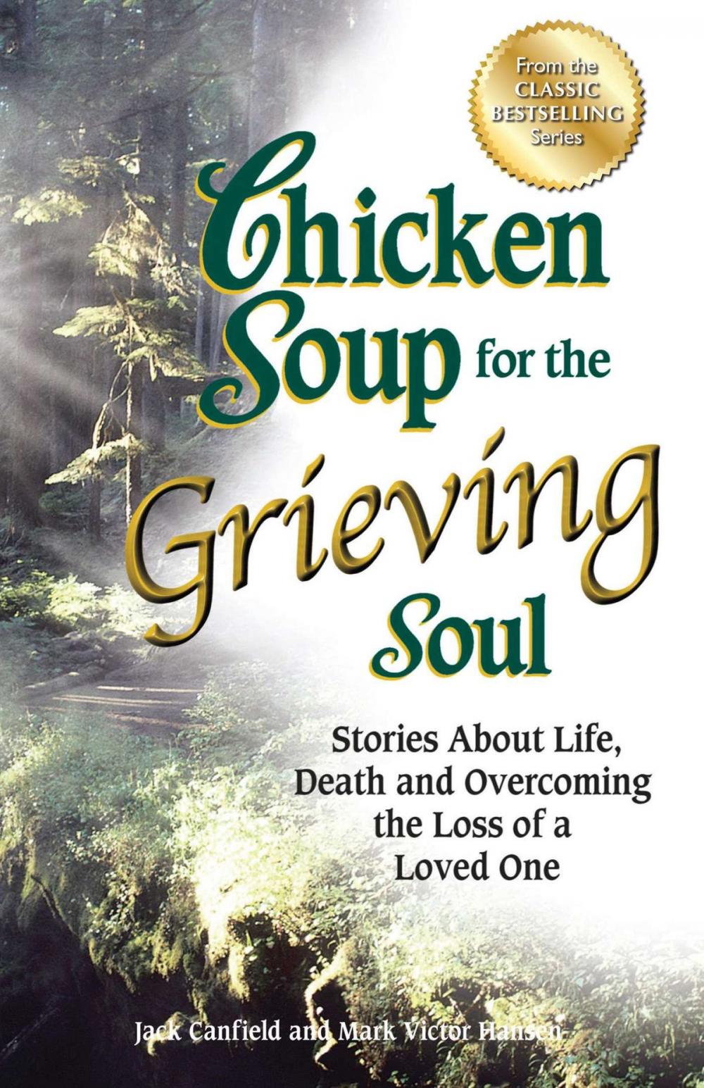 Big bigCover of Chicken Soup for the Grieving Soul