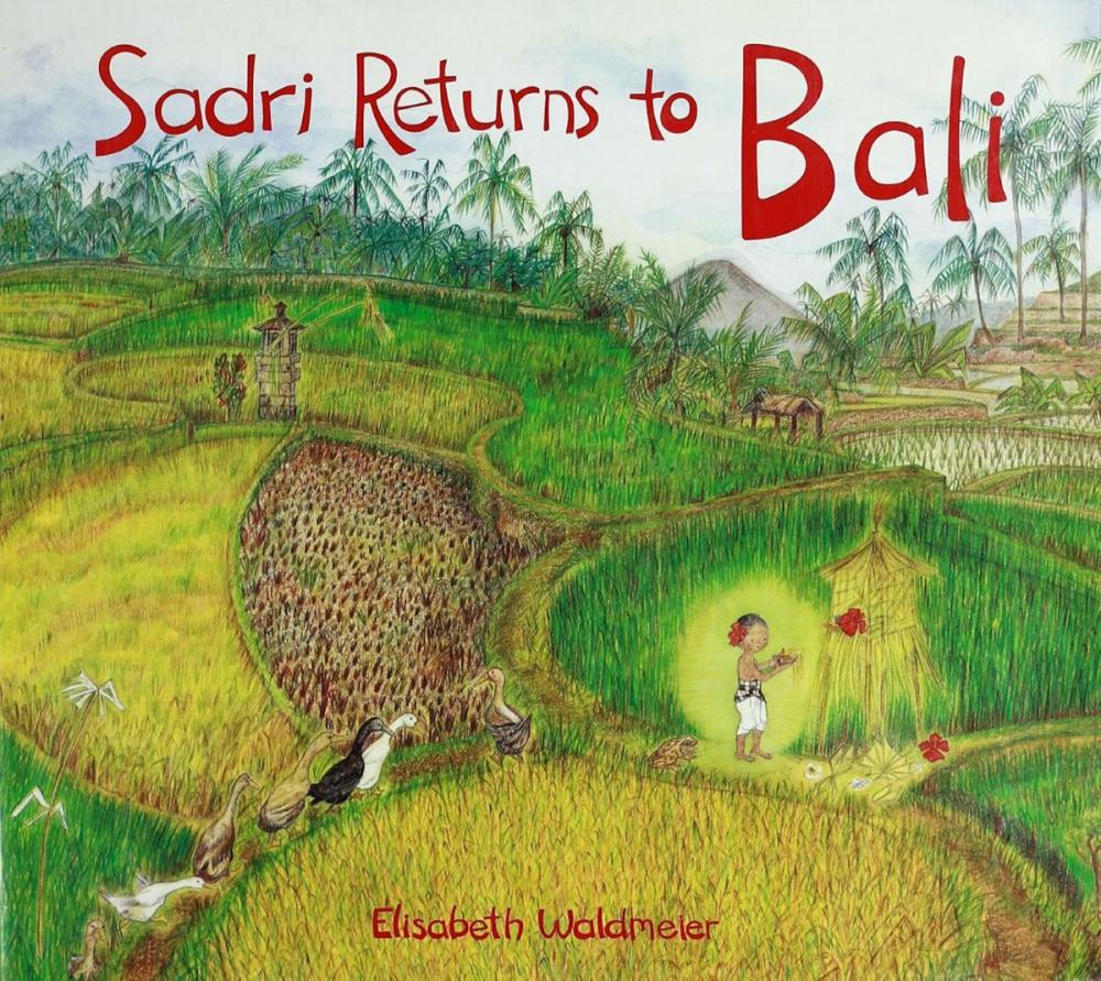 Big bigCover of Sadri Returns to Bali