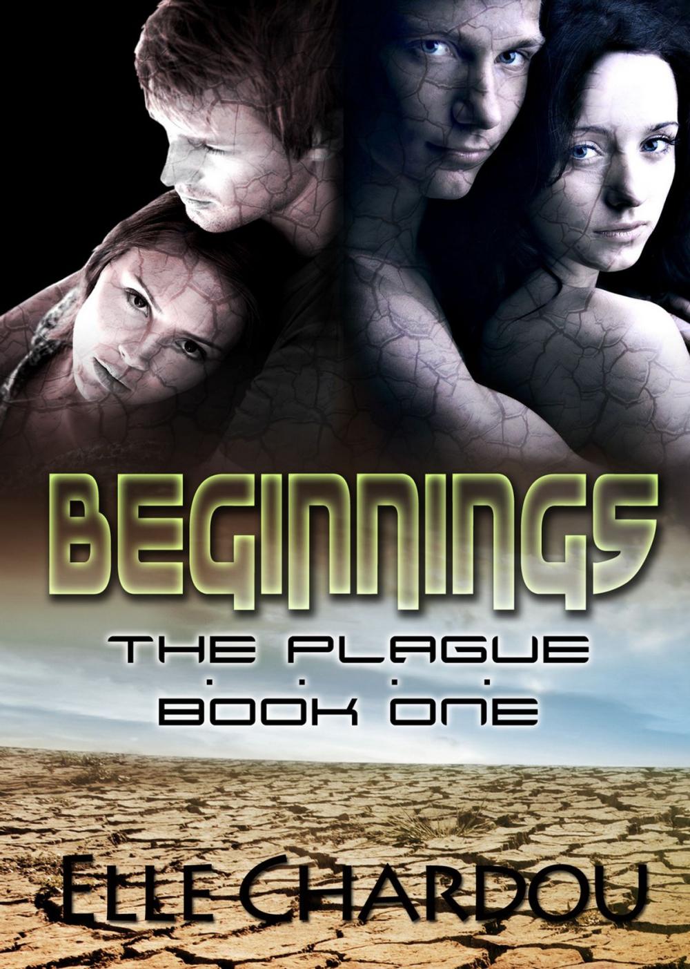 Big bigCover of Beginnings